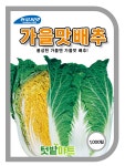 가을맛배추 1,000립 / 2,000립 : 텃밭마트