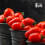 운두란 토마토고추장 1kg : 운두란