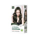 제니하우스 프리미엄 헤어컬러 120g 애쉬빈티지카키 6AK : 제니하우스코스메틱