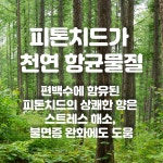 편백 하이드로졸 워터(피톤치드) 1000ml : 아로마리빙