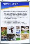 자연미와조형미 미술실액자 미술실환경조성 : 스쿨프린트