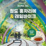 경북e누리 청도 홍차리에+레일바이크 : 경북여행몰