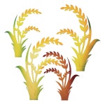 가을환경판 유치원 어린이집 가을 벼이삭 게시판 꾸미기 : 뮤티드오