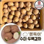 포슬포슬 수미 두백 26년 햇 감자 (상-대) 1 3 5 10 kg/찜용 개당 110g이하 : 트루e셀러
