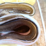 자연산 남해안 바다장어 1kg (손질전) : 8도장터