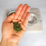 단비농원 국내산 직접재배 유기농 바른하루 여주환1000g 4개월분 실속형 대용량 : 바른하루단비농원