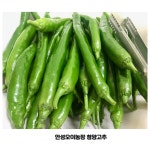 고추다대기용 청양고추 농장직송  1kg 안성오이농장재배 : 우리농촌 마실