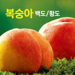 프리미엄 고당도 햇사레 장호원 복숭아 백도 황도 말랑이 : 프룻투씨유