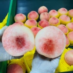 의성 임가네 농장, GAP 인증 복숭아 선물용 4kg 황도 백도 복숭아 : 임가네 농장