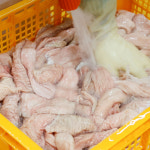 도착보장 대구 막창 곱창 돼지막창 생막창 대창 염통 캠핑음식 소곱창 : 땡큐파머스