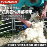 양털 미는기계 양모깎이 대형견 뭉친털 전동 털밀기 : 트루글로벌13