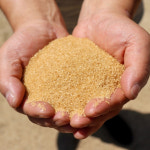 비정제설탕 사탕수수 원당 5kg : 사랑채마켓