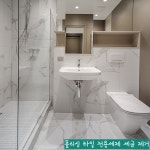 엑스트라크린 1L 폴리싱타일 전용세제 찌든때 오염 : 대명크린