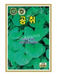 곰취 100립 민속채소 씨앗 종자 모종 텃밭 주말농장 KS종묘 그린종묘사 : 허수아비정원