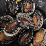 국내산 신선하고 맛있는 흑산도 전복 (9-10미) : 제이온월드