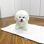 오르카홈펫 [B급 여름 할인 대전] 오르카홈펫 강아지 냉감 펫 매트 화이트 : 오르카홈