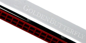 미화 골든 버터플라이 하모니카 : 동탄예음악기