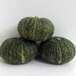 국내산 알뜰 못난이 단호박 10kg, 1개 : 금성농산