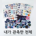 빈티지다꾸 수채 다꾸 도감 패키지 4종 내가 거니는 세계 : 롤링빈티지