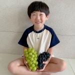 샤인머스켓 고당도 특품 김천 영천 1kg 2kg 3kg : 과일해적단