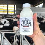 전남함평 수제 요거트 요구르트 6개X(500ml) 플레인 딸기 블루베리 : 유성목장