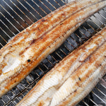 고창 한방사료먹인 토종 집에서 풍천 장어 구이 인생장어 민물장어도매 시세 700g 1키로 : 달콤달콩해