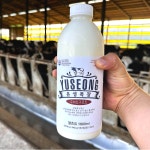 전남함평 수제 요거트 요구르트 2개X(1000ml) 플레인 딸기 블루베리 : 유성목장