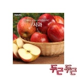 명광성푸드 날마다과일나라 5kg : 유대소리