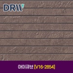 아이큐브 [V16-2854] : 다윈씨앤아이