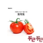명광성푸드 날마다과일나라 토마토 5kg : 유대소리