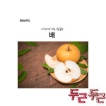 명광성푸드 날마다과일나라 배 5kg : 유대소리