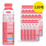 오케이에프 뷰티 콜라겐 제로슈가 음료 500ml 120개 : 비엔엠코리아