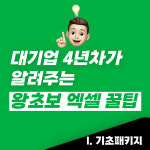 [전자책]대기업 4년차가 알려주는 엑셀 기초패키지 : 리얼엑셀