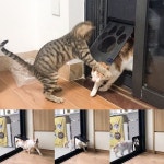 강아지 고양이 베란다 펫 방충망 스크린 도어 출입문 : 휴일이네