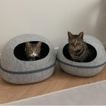 호랭이월드 우리집 고양이 대형 숨숨집 하우스 : 호랭이월드