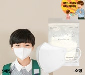 z국산 어린이용마스크 덴탈형 KF94 황사마스크 숨쉬기편한 소형마스크100매 : z김씨몰