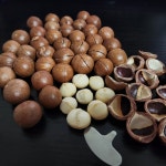 베트남 통 마카다미아 까먹는 견과류 500g : 헤이프룻