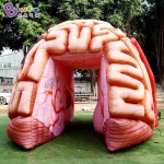 사람 뇌 모양 대형 에어바운스 안전 교육 특이한 소품 : 훈라임