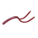 [2동탄] O.S.P HP 3D 와키 3.7인치 소프트루어웜 : 다솔낚시마트 2동탄점