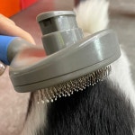 펫브러쉬 원올슬리커 슬리커 고양이 : ORoDo