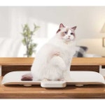 강아지 체중계 소형견 몸무게 측정 고양이 동물병원 : 리젠아이티몰