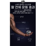 플레시 자이로볼 4세대 전완근 운동기구 손목 스트레칭 오토볼 메탈 2+1 클립 : 파티마스토어