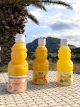 제주 감귤주스 한라봉 천혜향 청귤 100% 착즙주스 330ml 하르방 8병 제주여행 NFC : 행복한 더블리스