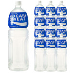 동아 포카리스웨트 240ml-30캔 이온음료수 : 부산종합유통