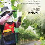 배, 사과, 복숭아, 포도 봉지 씌울때 편리한 과일 과수 봉지앞치마 : 유기네