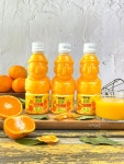 제주 감귤주스 한라봉 천혜향 청귤 100% 착즙주스 330ml 하르방 8병 제주여행 NFC : 행복한 더블리스