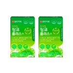 일양약품 프라임 징코 플러스 30정 2박스 2개월 : RED BAND