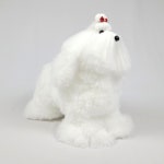 애견미용연습용 말티즈위그 화이트 독위그 : 펫 마스터