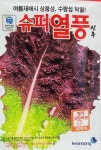 [권농종묘] 슈퍼열풍 적치마상추 여름전용상추 씨앗 : 현대농약종묘사