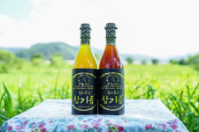 일리공삼 진한 참기름 : 일리공삼 자연품은 기름집